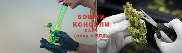 прущие грибы Гусев
